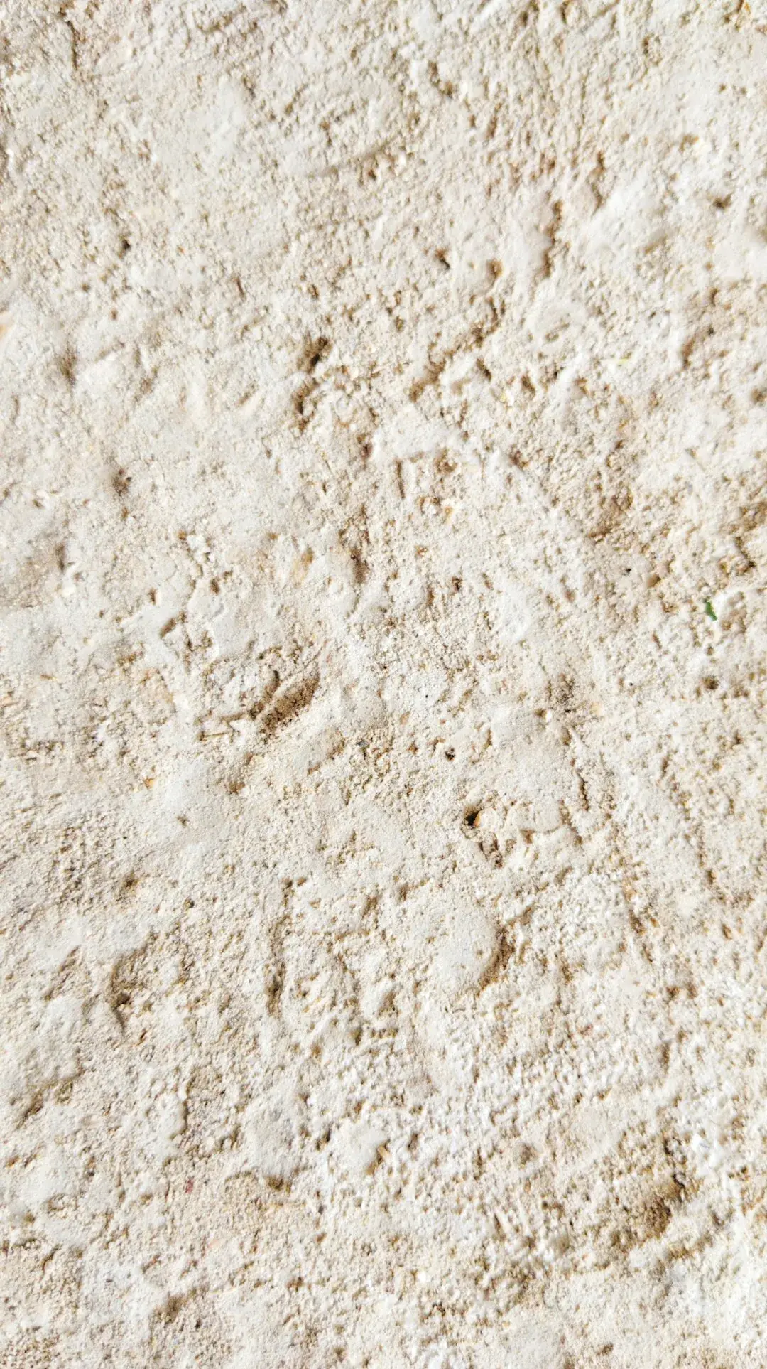 Warm cream limestone slab surface with subtle grain